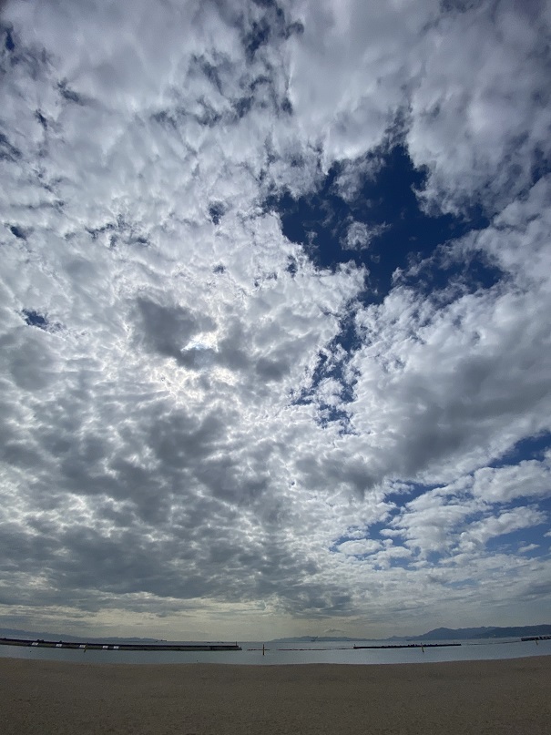 記事 10月のワークステーション細田のアイキャッチ画像