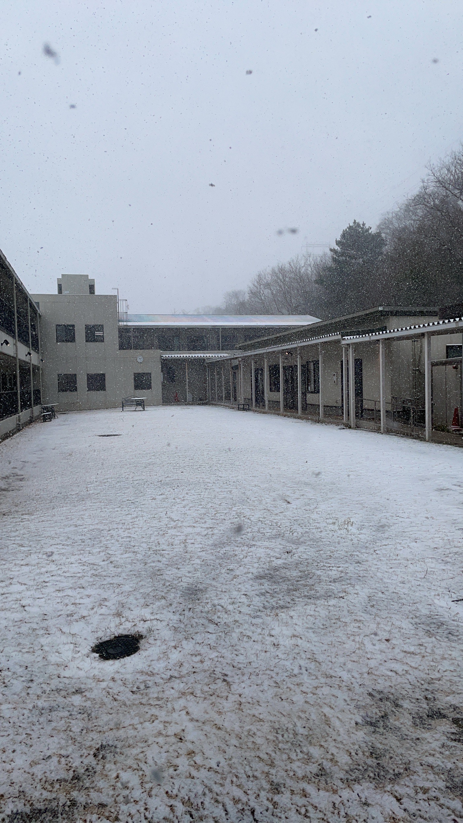 記事 ひふみ園にも雪が降ったのアイキャッチ画像